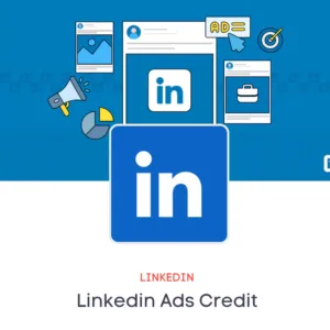 LinkedIn Big Budget Ads Credit